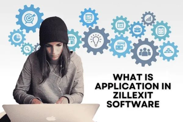 what is application in zillexit software