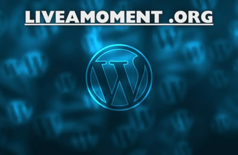 Liveamoment. org