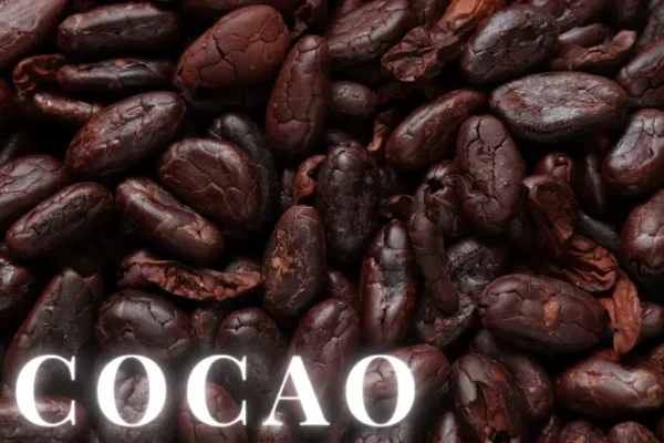 Cacao