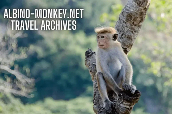 Albino-Monkey.net Travel Archives