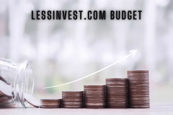 Lessinvest.com Budget