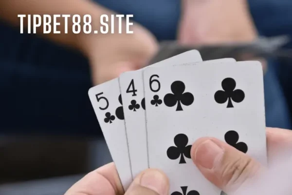 Tipbet88.site