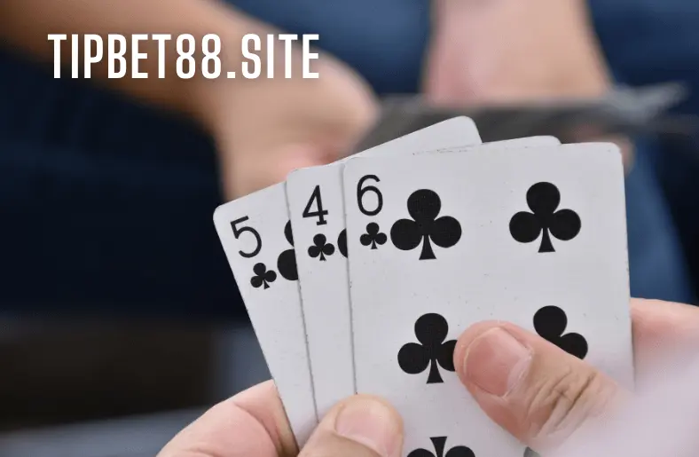 Tipbet88.site