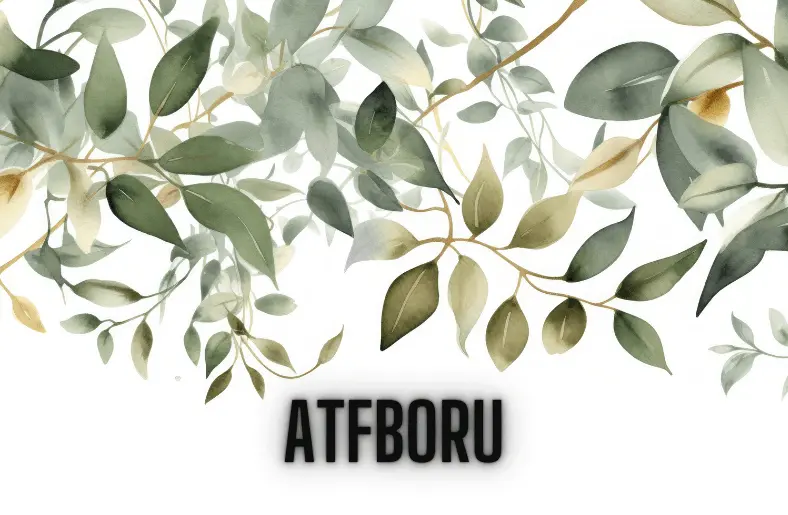 atfboru