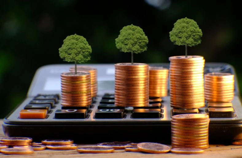 Dividend Reinvestment Plans